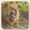 Pesquisar por ameaça porta copos Animais selvagens