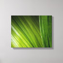 Pesquisar por folhas verdes impressão de canvas Jardim