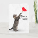 Pesquisar por táxi cartoes Gato