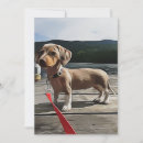 Pesquisar por caninos convites Dachshund