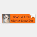 Pesquisar por aspca Animal