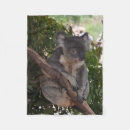 Pesquisar por urso de koala Qualquer pessoa