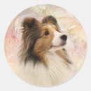 Pesquisar por sheepdog adesivos Sheltie