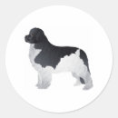 Pesquisar por cão terra nova adesivos Raça