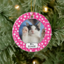 Pesquisar por pet photo ornamentos Gatos