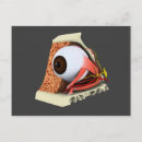 Pesquisar por anatomia humana cartoes postais Visão