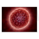 Pesquisar por embrião cartoes postais 3d