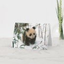 Pesquisar por wildlife cartoes Cub