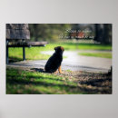 Pesquisar por cães artes pósteres German shepherd