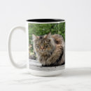 Pesquisar por maine coon canecas Gatinho