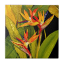 Pesquisar por paraíso azulejos Folhas tropicais