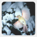 Pesquisar por cardeal fêmea adesivos Neve