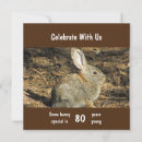 Pesquisar por coelho pequeno cartoes postais Para ela