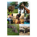 Pesquisar por hiena pôsteres pósteres Africano