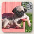 Pesquisar por pugs porta copos Diversão
