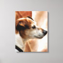 Pesquisar por dog impressão de canvas Cães