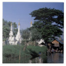 Pesquisar por ásia azulejos Asiático