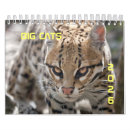 Pesquisar por leões calendarios Gatos