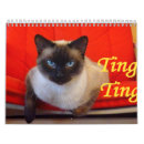 Pesquisar por gato siamese calendarios Gatinho