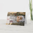 Pesquisar por bons desejos cartoes Sinta se melhor