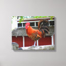 Pesquisar por galinha impressão de canvas Fazenda