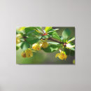 Pesquisar por florista impressão de canvas Amarelo