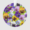 Pesquisar por primavera ornamentos Floração