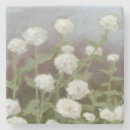 Pesquisar por estudo porta copos Botânico