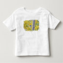 Pesquisar por rochoso camisetas Natureza
