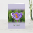 Pesquisar por italian cartoes Floral