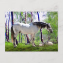 Pesquisar por cavalo andaluz cartoes postais Cavalos