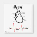 Pesquisar por coração humano imas Anatomia