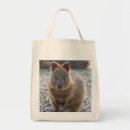 Pesquisar por marsupial bolsas Natureza