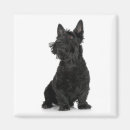 Pesquisar por terrier fotografias imas Animais