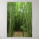 Pesquisar por bambu verde pôsteres pósteres Floresta