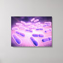 Pesquisar por ampliação impressão de canvas Microscópico