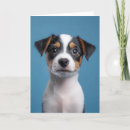 Pesquisar por russell convites Jack russell terrier