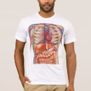 Pesquisar por órgão anatomia camisetas Órgãos internos