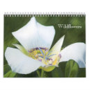 Pesquisar por flor de parede ocidental Natureza