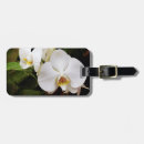 Pesquisar por close up bagagem tags Flor