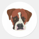 Pesquisar por boxer adesivos Animais de companhia