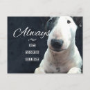 Pesquisar por amor do cão cartoes postais Animal de estimação