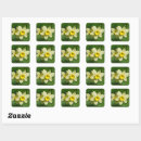 Pesquisar por daffodil adesivos Primavera