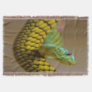 Pesquisar por anfíbios mantas Répteis