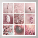 Pesquisar por flores cor de rosa da árvore pôsteres pósteres Fotografia