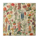 Pesquisar por criativo azulejos Para ela