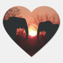 Pesquisar por silhueta elefante adesivos Pôr do sol