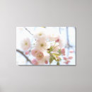 Pesquisar por flor cerejeira japonesa de impressão de canvas Natureza