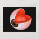 Pesquisar por olhos humanos cartoes postais Medicina