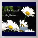 Pesquisar por barato pósteres Flores